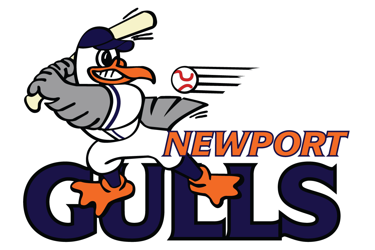 Newport Gulls 2001-Pres Primary Logo iron on transfers for T-shirts